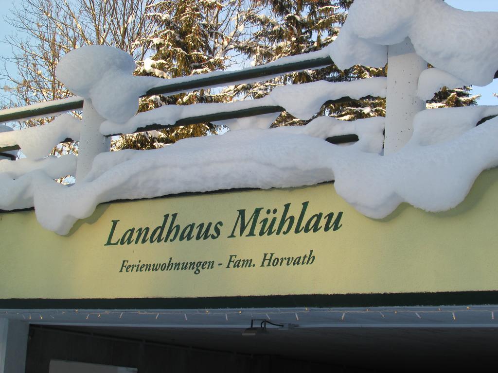 Apartment Landhaus Muehlau In Tirol Erpfendorf Esterno foto